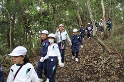 ワンダフルデー